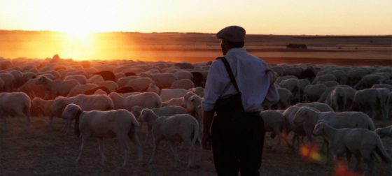 The Shepherd (El Pastor) still from the movie